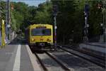 Abgesang auf die Taunus Elevated.

Zwei nicht bekannte VT2E in Köppern auf dem Weg nach Grävenwiesbach. Mai 2022.