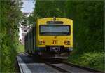 Abgesang auf die Taunus Elevated.

Zwei nicht bekannte VT2E am Waldkrankenhaus Köppern auf dem Weg nach Bad Homburg. Mai 2022.
