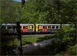 Abgesang auf die Taunus Elevated.

609 018 HLB VT21 und 609 020 HLB VT02 am Bahnübergang Pionierweg zwischen der Saalburg und Köppfen auf dem Weg nach Grävenwiesbach. Mai 2022.