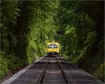 Abgesang auf die Taunus Elevated.

Nachschuss auf 609 006 HLB VT06 und 609 003 HLB VT03 vom Bahnübergang Pionierweg zwischen der Saalburg und Köppern auf dem Weg nach Frankfurt Hbf. Mai 2022.

Für Zweifler: Das Bild entstand vom gemeinsamen Verkehrsraum des Bahnübergangs unmittelbar NACH Durchfahrt des Zuges.