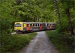 Abgesang auf die Taunus Elevated.

609 006 HLB VT06 und 609 003 HLB VT03 am Bahnübergang Pionierweg zwischen der Saalburg und Köppern auf dem Weg nach Frankfurt Hbf. Mai 2022.