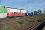 155 013, übrigens 1977 im Bw Dresden in Dienst gestellt, hier am 05.07.2025 in Diensten von LDK mit einem Güterzug Richtung Bad Schandau in Dresden Freiberger Straße