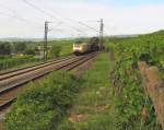 LOCON ES 64 F4-206 (189 206-6 D-DISPO) mit dem DGS 92807 von Venlo (NL) nach Gemnden (Main), bei Erbach (Rheingau); 25.08.2010