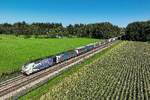 Das  blaue Zebra  193 772 bespannte am 16. September 2025 mit einem weiteren Vectron den KLV-Zug DGS 43821 von Bremen Grolland nach Verona Q.E. ab München Ost Rbf für die Fahrt über den Brennerpass. Diese einheitlich mit Aufliegern der Speditionen Terratrans und paneuropa beladene Leistung verkehrt täglich durch das Inntal und konnte bei mir kurz vor Brannenburg fotografiert werden.