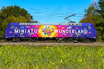 185 666  25 Jahre Miniaturwunderland  zum ersten Mal gesehen und dann in so schöner Landschaft dazu.