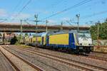 146 517 metronom bei der Ausfahrt in Hamburg Harburg, August 2025.