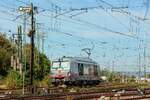mkb 248 006  Merle  in Koblenz L�tzel, September 2026.