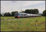  Stadler NeS 219024 kam am 16.9.2025 bei Regenstauf um 14.55 Uhr mit einem schweren Ganzzug in Richtung Schwandorf über die KBS 855.