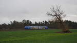 Mireo Plus H (563 004) der NEB fährt von Basdorf nach Wandlitz, hier als RB 61021 an einem nasskalten Wintersamstag mit dem Ziel Groß Schönebeck.