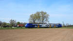 563 059 f�hrt als RB54 (RB 55661) von Rheinsberg nach L�wenberg, hier hinter Lindow (Mark).
Lindow, der 18.04.2026
