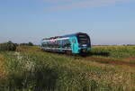 Akkutriebwagen Flirt der Nordbahn mit 826 046 aus St. Peter Ording unterwegs nach Husum. Aufgenommen am 05.08.2026