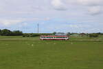 neg 627 103-4 fährt auf der Kleinbahn Dagebüll Mole - Niebüll zwischen Dagebüll Kirche und Blocksberg.