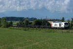 Willke 248 088-7 am 7 Juli 2026 Bei Osterm�nchen.