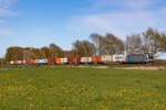 193 213-4 bei Bramstedt mit einem Containerzug nach Osnabrück.
