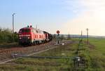 218 381 und 212 297 sind mit einem Holzzug(DGS 91273)am 30.04.19 von Triptis nach Kaufering unterwegs.