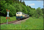 Railsystems RP 218 466-1 am Pfingstsonntag, 24.05.2026, mit einem Sonderzug auf der Rennsteigbahn am B� bei Schleusingen.