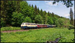 Railsystems RP 218 466-1 am Pfingstsonntag, 24.05.2026, mit einem Sonderzug auf der Rennsteigbahn bei Schleusingen.