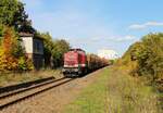 203 843 (RIS) mit einem Holzzug aus Tirptis ist am 06.10.22 in Krölpa zu sehen.