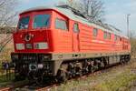 SEL 234 242-6 in Cuxhaven, April 2026.
Foto wurde an einer Stra�e von einem Zaun fotografiert.
Siehe andere Fotos!