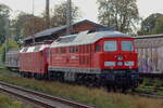 Nachschuss auf SEL 234 242-6 die gezogen von SEL 120 143-3 durch Eystrup gefahren kamen 12.9.2026