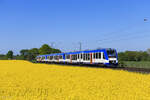 VT 336, VT 320 und VT 315 (BRB) als RE10 Richtung D�sseldorf Hbf in Meerbusch B�singhoven, 24. April 2026