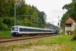 Wittenberger Steuerwagen TRI mit Ersatzzug in A�ling, August 2019.