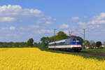 111 130-1 (TRI) mit der RB37 Richtung Neuss Hbf in Meerbusch B�singhoven, 21. April 2026