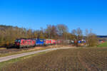 193 555 TXL/ATLU mit einem KLV-Zug bei Lehrberg Richtung Ansbach, 01.03.2022