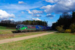 193 266 ELL/TXL mit einem LKW-Walter KLV-Zug bei Mimberg Richtung N�rnberg, 06.04.2022