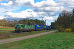 193 234 ELL/TXL  Offroad  mit einem LKW-Walter KLV-Zug bei Mimberg Richtung N�rnberg, 06.04.2022
