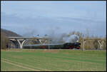 DAMPFWOLKEN rund um SAALFELD: Vom 27.03.2026 bis 06.04.2026 war Wedler & Franz Logistik wieder mit ihrer Dampflok 03 2155-4 in Thüringen unterwegs. Alle Fahrten starteten in Saalfeld/Saale. Hier ist WFL 03 2155-4 am 28.03.2026 bei Maua im Saaletal zu sehen.
