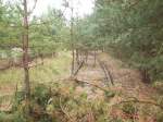 Anschlugleis der Eberswalder Industriebahn zum ehem.