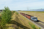 RWE 504 mit Braunkohle bei Buir am 13 August 2016