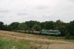 232 429 (V300 004) der Wismut mit G 66239 bei Baldenhain (23.07.2007)