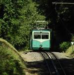 DRACHENFELSBAHN-AUF DEM WEG ZUR MITTELSTATION  Einfach ein schöner Anblick,wie der Triebwagen auf der Zahn-Schiene etwa 500 Meter hinter der Talstation über die Kuppe in Richtung