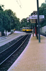 Sonderfahrt bei der Zahnradbahn Stuttgart (SSB): TW 104 und Vorstellwagen 120 bei der Ausweiche (15.09.1984)