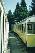 Wendelstein Zahnradbahn  Begegnung an der Ausweichstation 'Aipl'__16-08-1973