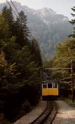 Im Sommer 1976 ist ein Zug der Wendelsteinbahn zwischen der Talstation und der Mitteralm unterwegs
