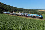 2019 306 mit Kesseln am 4 Juli 2026 bei Breitenfurt.