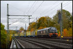 Wochenendruhe: Am 25.10.2026 war Netzwerkbahn Sachsen 2159 261-7 mit einem Ganzzug Rungenwagen in Niederwiesa abgestellt. In den Folgetagen wurde mit dem Zug Holz aus Pockau-Lengefeld im Erzgebirge abgeholt. 