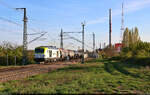 Man sieht sich immer zweimal im Leben. Im Falle der 248 033-3 sogar am selben Abend. Keine anderthalb Stunden später kommt die Siemens Vectron Dual Mode mit fünf Kesselwagen Richtung Bitterfeld retourgefahren und wurde oberhalb der Leipziger Chaussee (B 6) nochmals fotografiert. Das freute den Tf erneut, daher einen weiteren Gruß zurück.

🧰 Captrain Deutschland GmbH, eingesetzt bei der Regiobahn Bitterfeld Berlin GmbH (RBB)
🕓 3.5.2023 | 19:09 Uhr