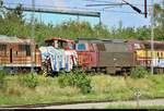 Während der einen Stunde Aufenthalt im Bahnhof Padborg st (DK) auf der Bahnstrecke Fredericia–Flensburg (KBS 65 (DSB)) war leider so gut wie nichts los.