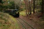 Hier hat der Zug der Museumsbahn Hanstholm gerade seinen kleinen Bahnhof verlassen und fährt auf den Gleisen der ehemaligen Munitionsbahn in den Küstenwald ein.