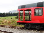 Tierisches Interesse am Tren Crucero auf einem Unterwegsbahnhof zwischen Colta und Riobamba, 05.08.2018