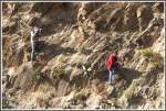 Sie benehmen sich wie die Bndner Steinbcke, um in eine gute Schussposition zu gelangen. An einer Felswand irgendwo zwischen Arbaroba und Shegerini. (02.02.2012)
