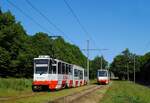 Tw.102 und Tw.181 begegnen einander auf eigenem Gleiskörper zwischen den Haltestellen Sitsi und Maleva. (07.06.2023)