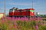 Eine von zweien Dieselloks der Baureihe Dv 12 die am Bf Kemi den Rangierdienst versehen,die 2527 wurde am 22.7.2014 in einem blumenübersäten  Nebengeleise abgestellt.