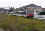 Ausser dem wiederhergestellten  Stumpengeleise  fr die SBB Zge wird das Bahngelnde von Delle(F) der Wildnis berlassen.