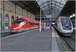 Zurück zur Gegenwart; in Lyon Perrache konnte ich neben dem inOui TGV Duplex Rame 263 den formschönen FS Trenitalia ETR 400 031 fotografieren. Beide Züge sind aus Paris gekommen und werden nach einer guten Stunde auch wieder nach Paris Gare de Lyon zurück fahren. 

13. März 2024