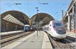  Nice Ville - Nice Ville  erklang es in meinen Ohren als wir nach �ber f�nfzehn  Jahren endlich wieder in Nice ankamen.